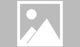 网红和明星的差距,数字时代的身份差异解析