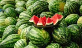 康县网红吃瓜视频爆料曝光,一场网络爆料的背后真相